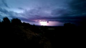 VIDEO0050_0000010954