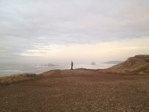 19820154763_c3a95f38df_o