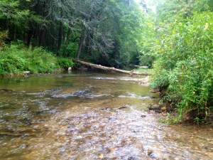 16497904788_34de199a1c_o