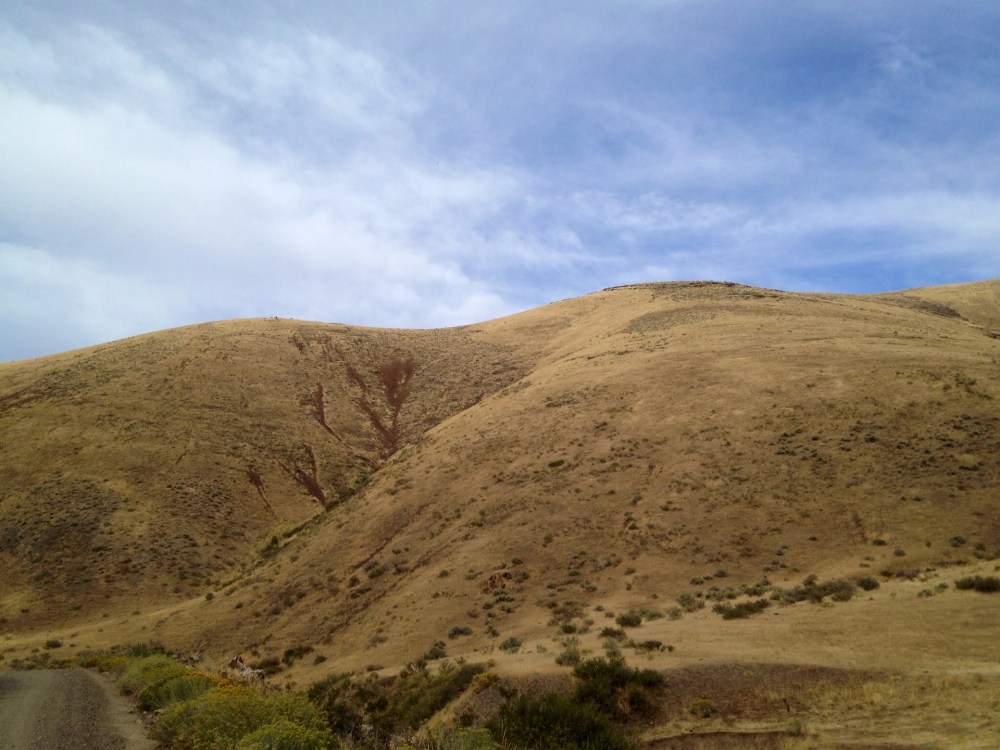 20408614836_eef388c8dd_o