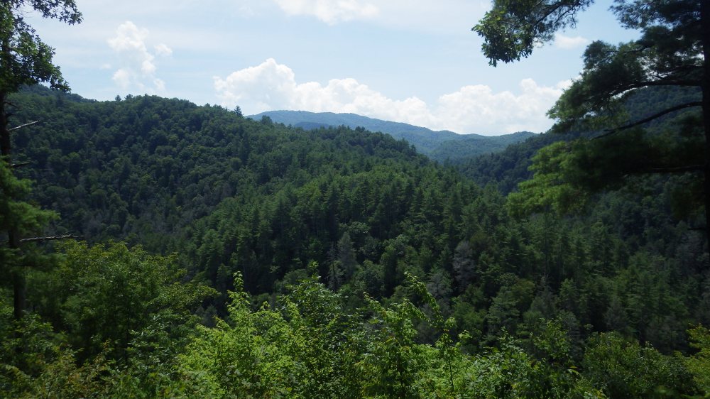 Great Smoky Mountains