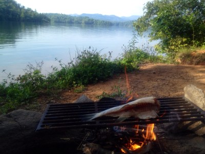 16684139561_9f91e811bb_o