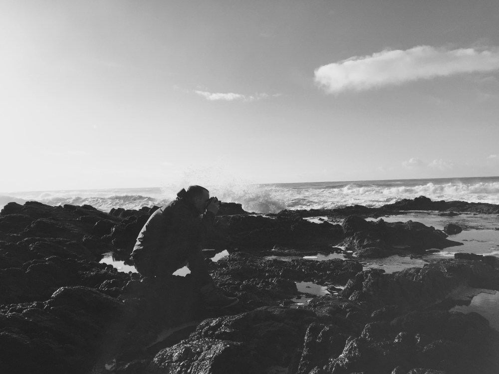 23965316271_9f22278590_o